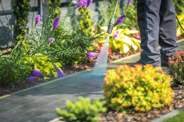  Youngwood, PA Pressure Washing Pros